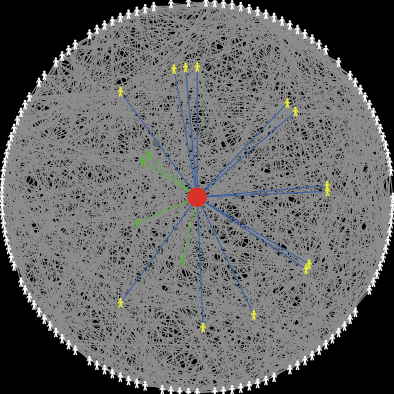 When_network_density_weakens_intention_action_alignment preview image